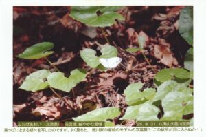 人生旅人 Tokyo 人生旅人 Tokyo